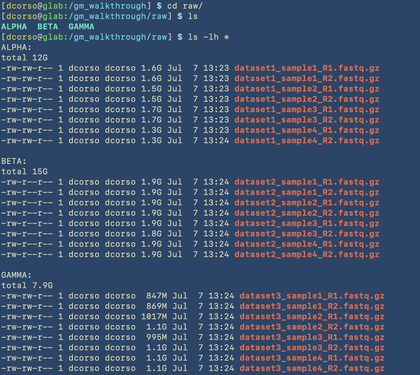 sequencing_reads_folder